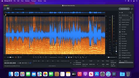 iZotope RX 10 Audio Editor Advanced 